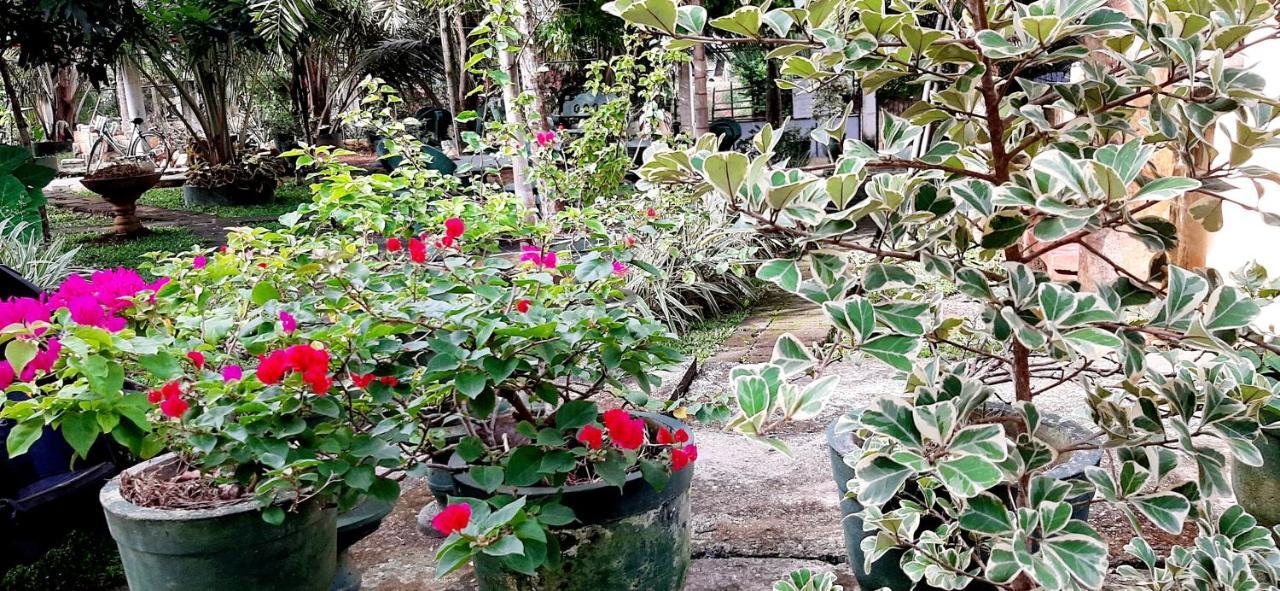 Hiriketiya Cinnamon Garden Dikwella Bagian luar foto