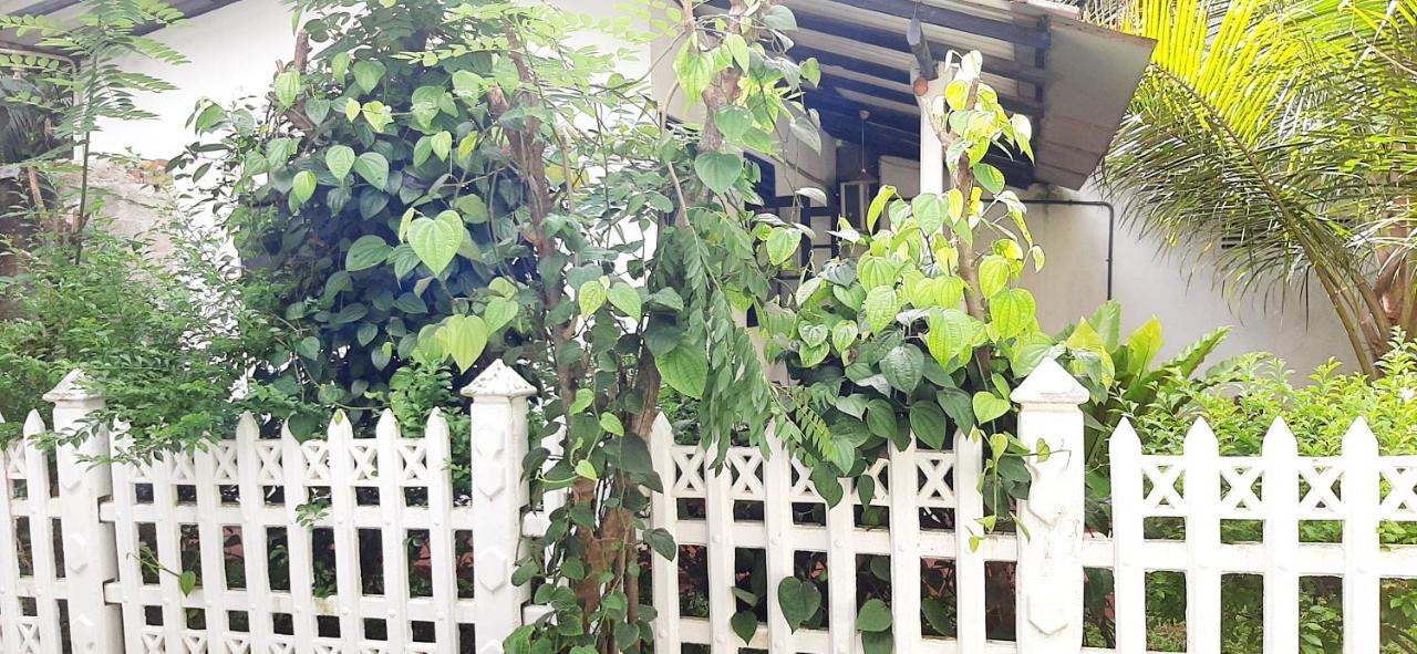 Hiriketiya Cinnamon Garden Dikwella Bagian luar foto