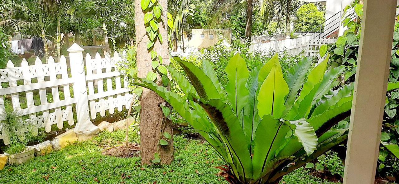 Hiriketiya Cinnamon Garden Dikwella Bagian luar foto