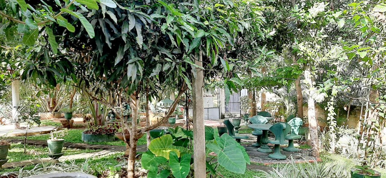 Hiriketiya Cinnamon Garden Dikwella Bagian luar foto
