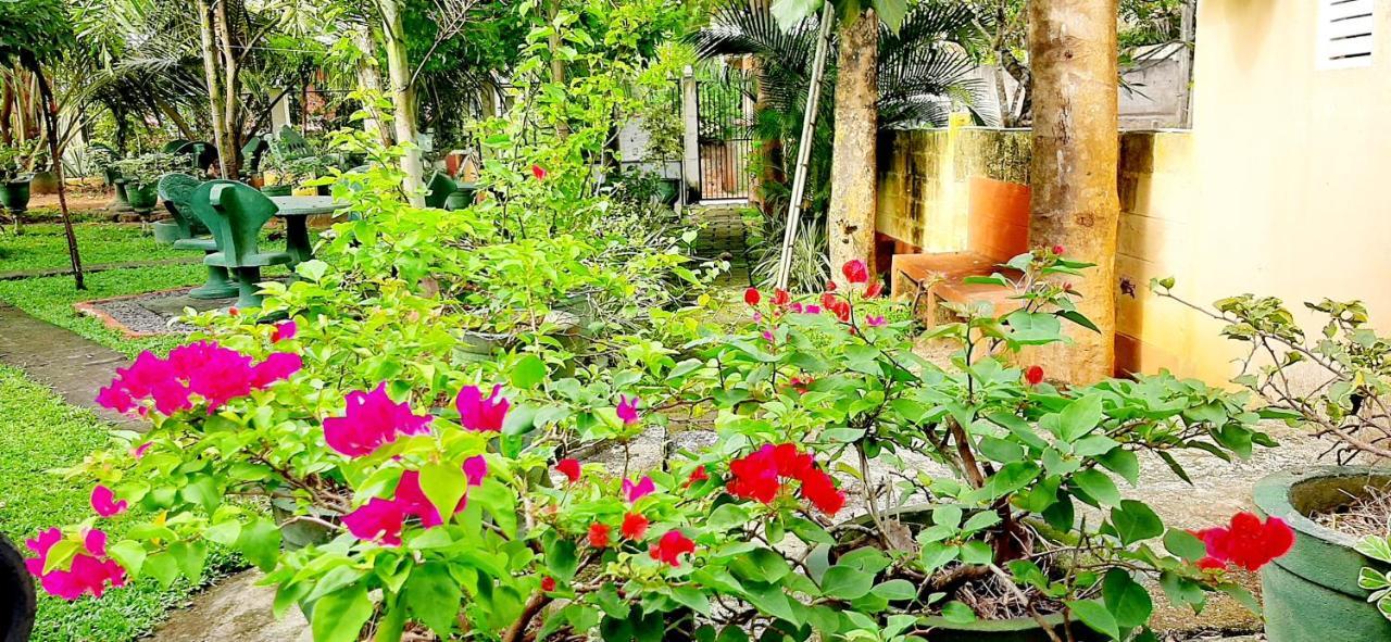Hiriketiya Cinnamon Garden Dikwella Bagian luar foto