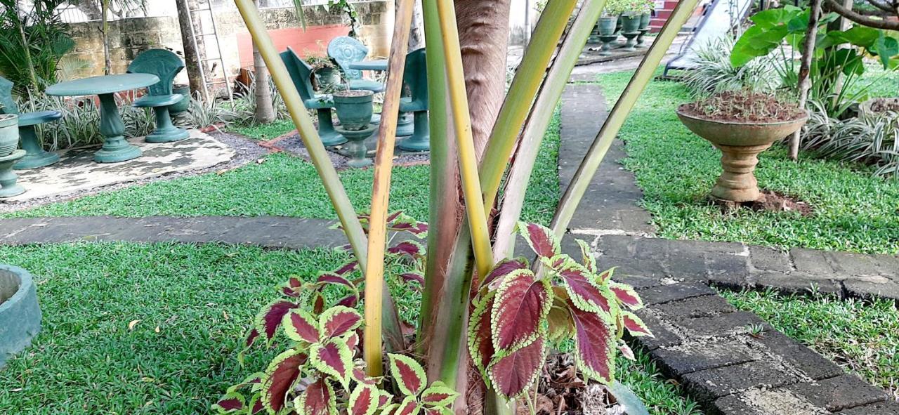 Hiriketiya Cinnamon Garden Dikwella Bagian luar foto