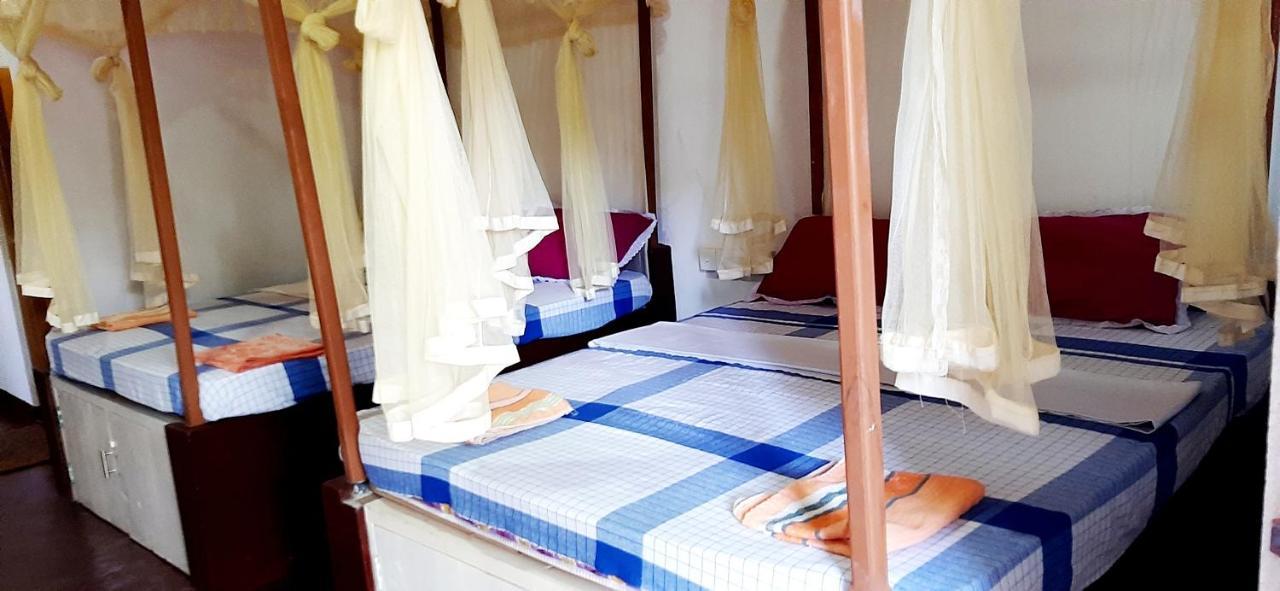 Hiriketiya Cinnamon Garden Dikwella Bagian luar foto