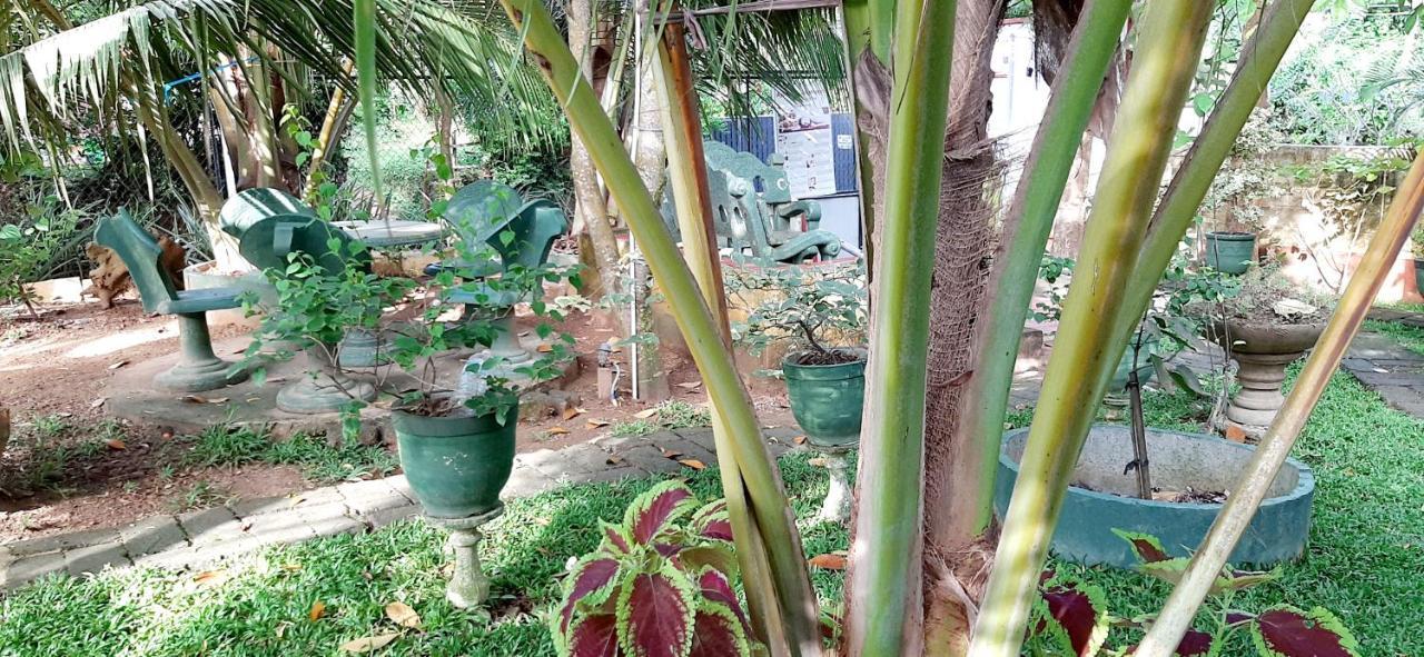 Hiriketiya Cinnamon Garden Dikwella Bagian luar foto