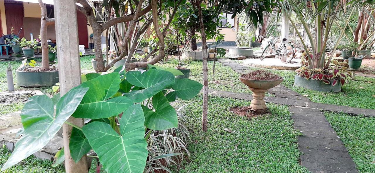 Hiriketiya Cinnamon Garden Dikwella Bagian luar foto