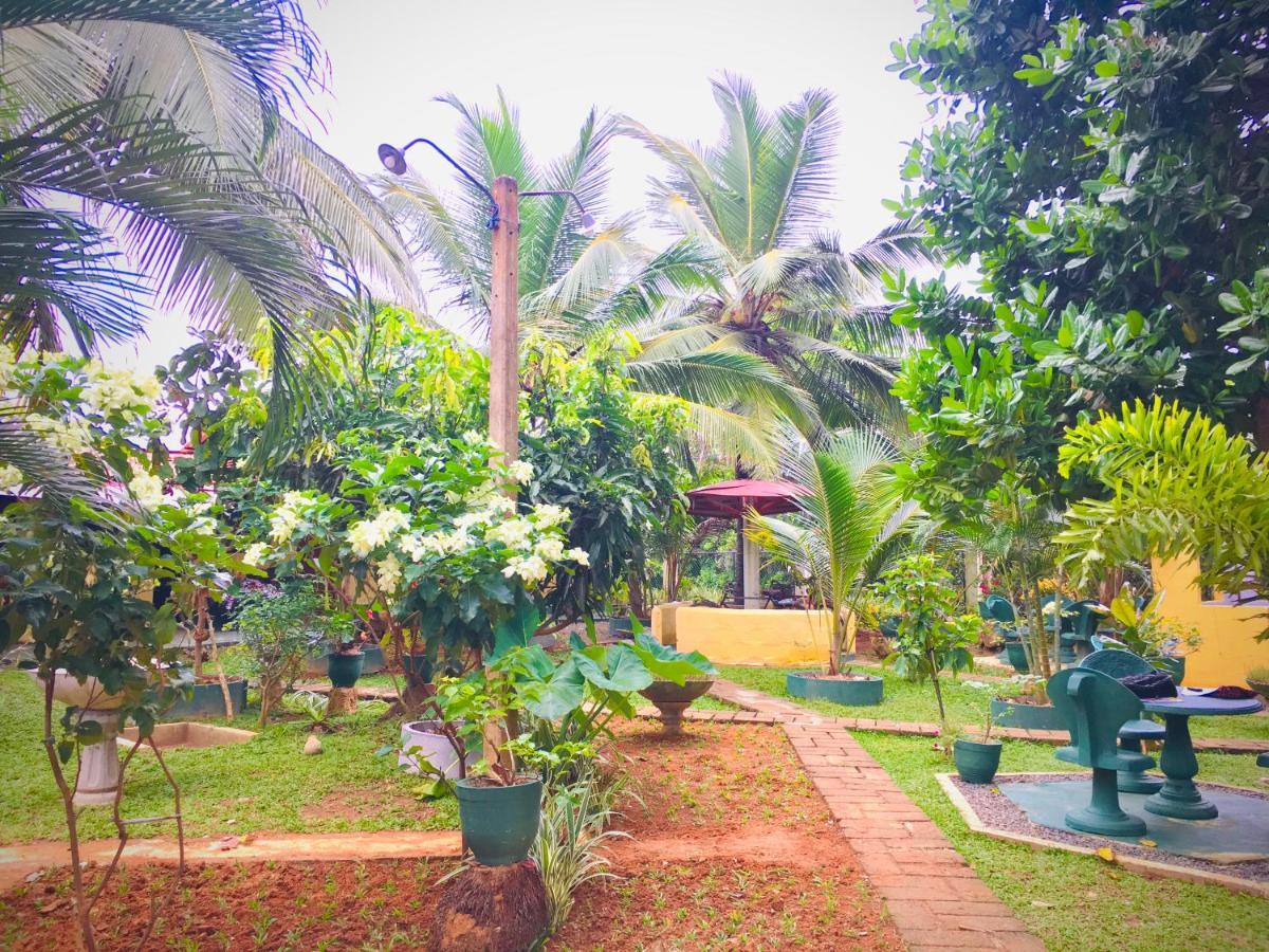 Hiriketiya Cinnamon Garden Dikwella Bagian luar foto