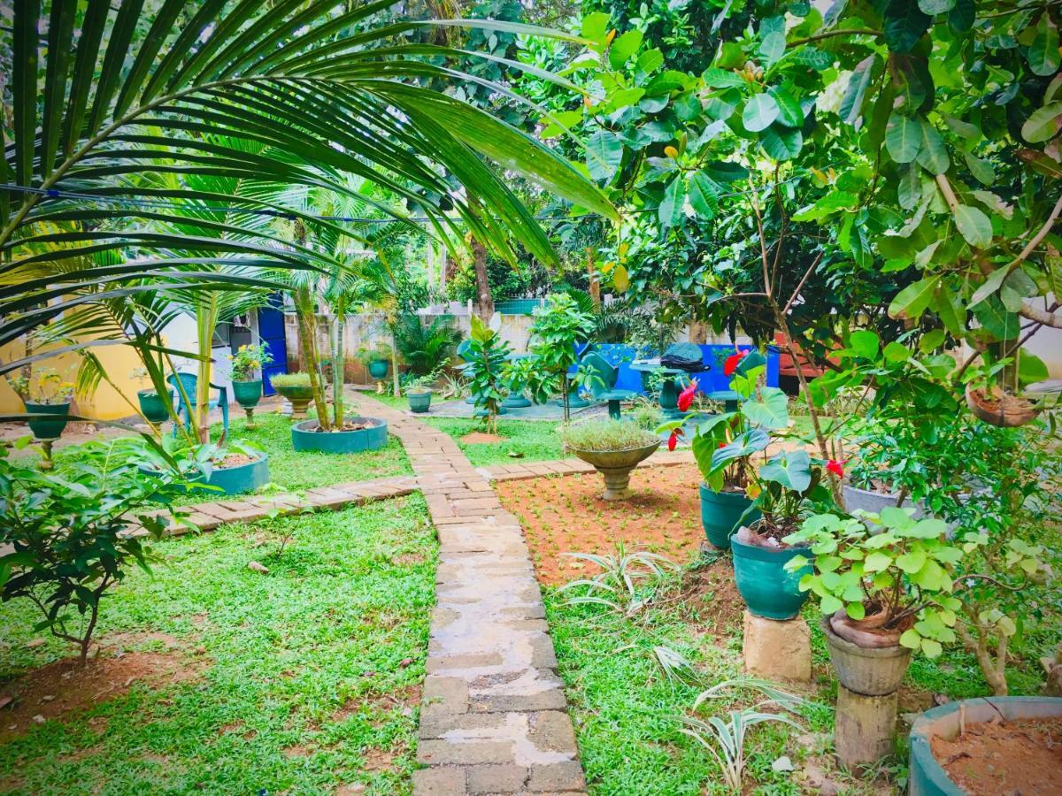 Hiriketiya Cinnamon Garden Dikwella Bagian luar foto